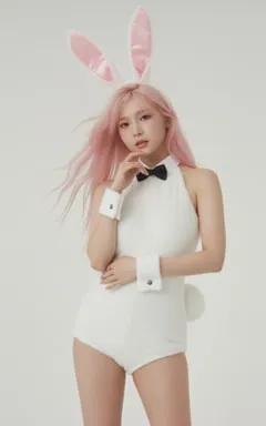 Bunny Suit
